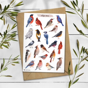 Birds Stickers. Winter Birds Planner Stickers