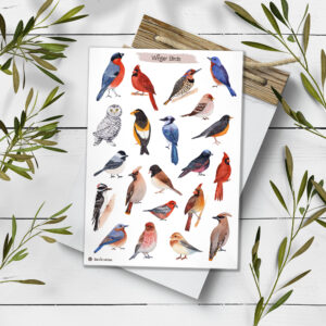Birds Stickers. Winter Birds Planner Stickers