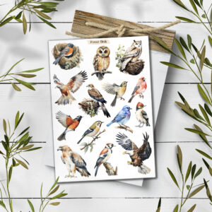 Forest Birds Stickers. Birds Planner Stickers